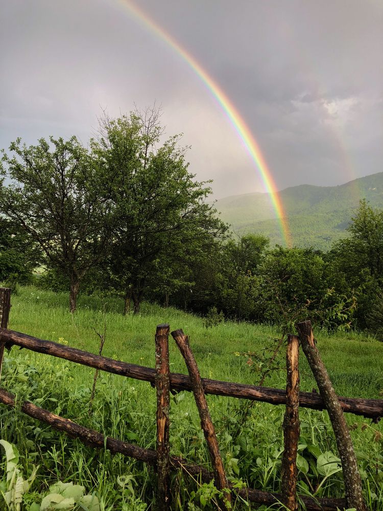 Photograph by Анна Сорокина