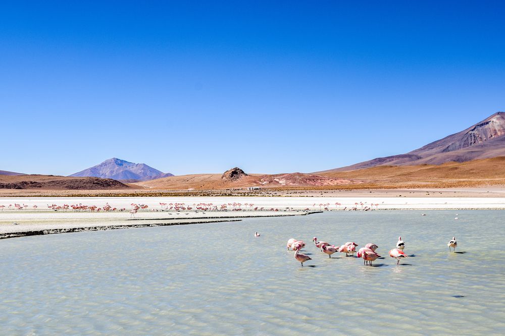 Photograph by Long Nguyen