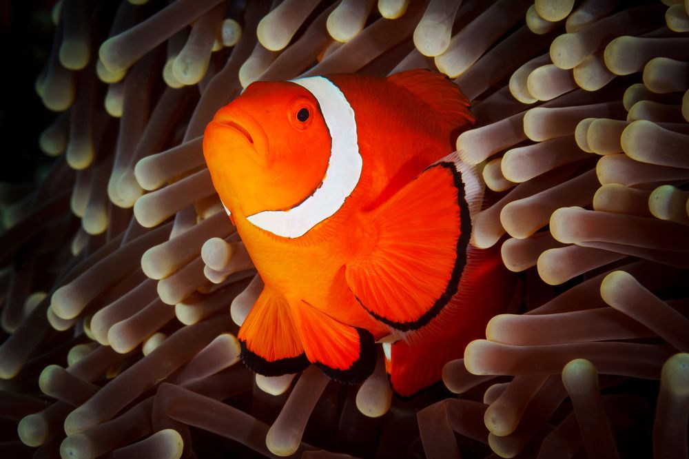 Photograph by Труханов Илья