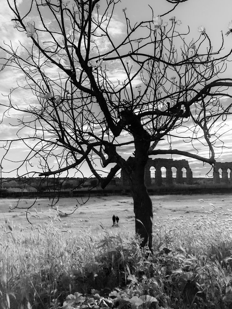 Акведук. Золотой час.