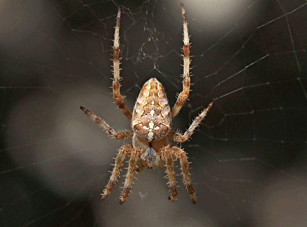 Photograph by Александр Николаев