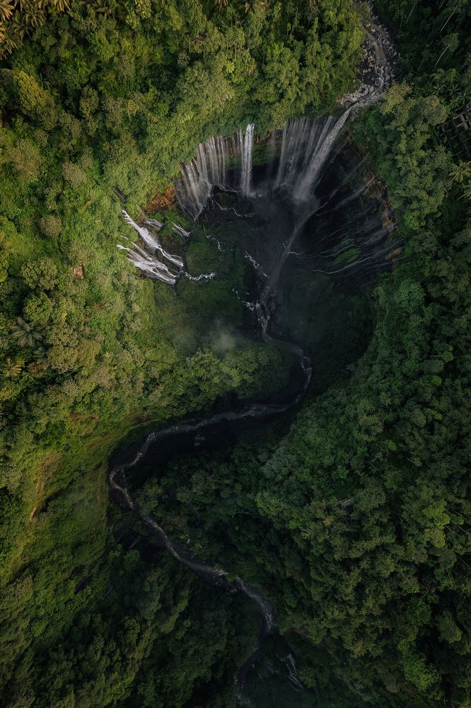 Photograph by Анастасия Сауль