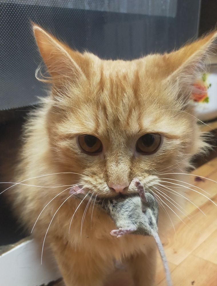 Photograph by Оксана Макарова