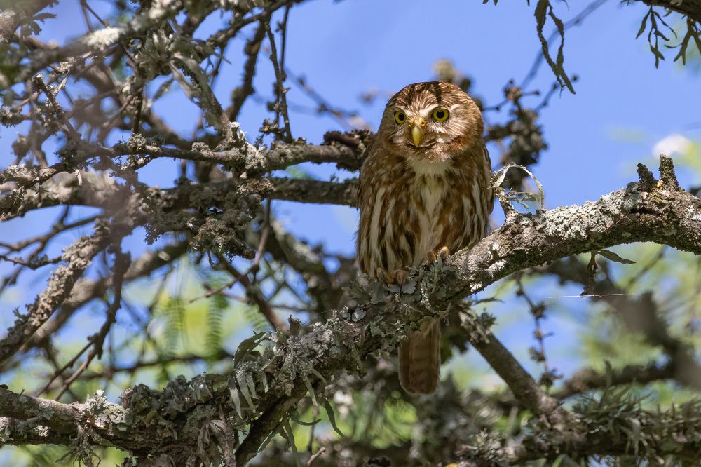 Photograph by MARÍA CECILIA REY
