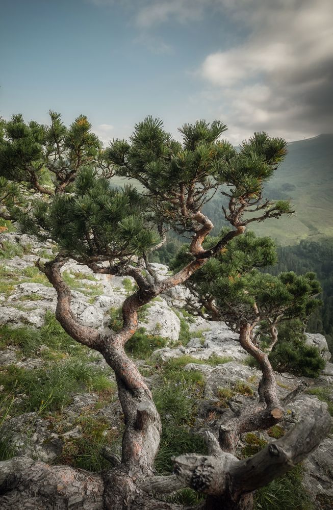 Фотография автора Константин Яковлев
