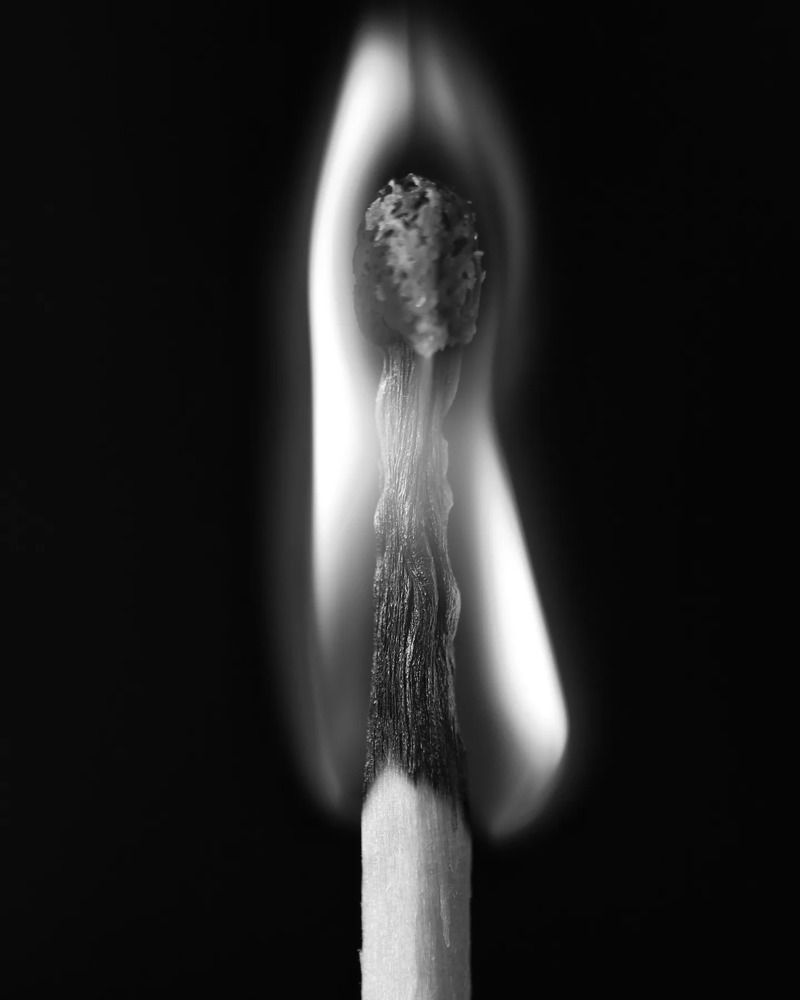 Photograph by Ruzena Suchánková