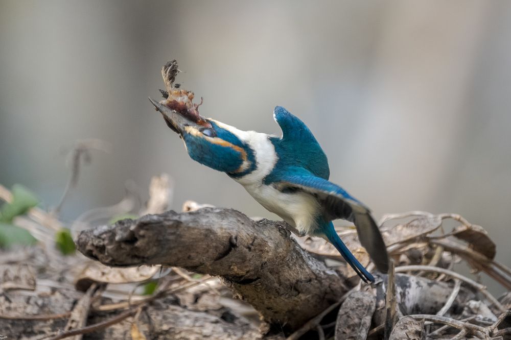 Photograph by Труханов Илья