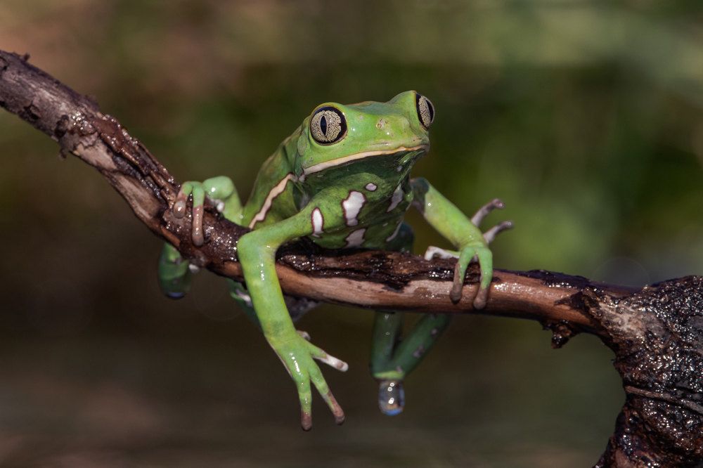 Photograph by MARÍA CECILIA REY
