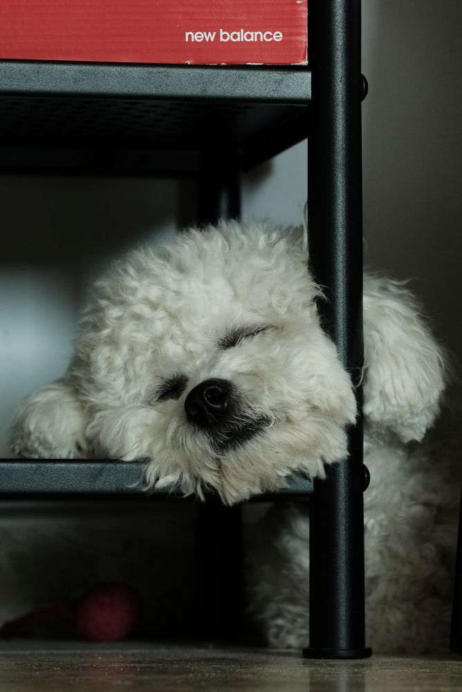 Photograph by Александр Славиковский