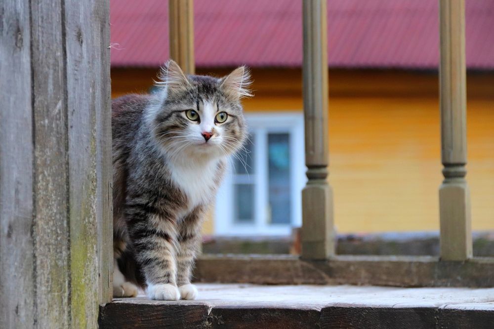 Photograph by Нина Чугунова