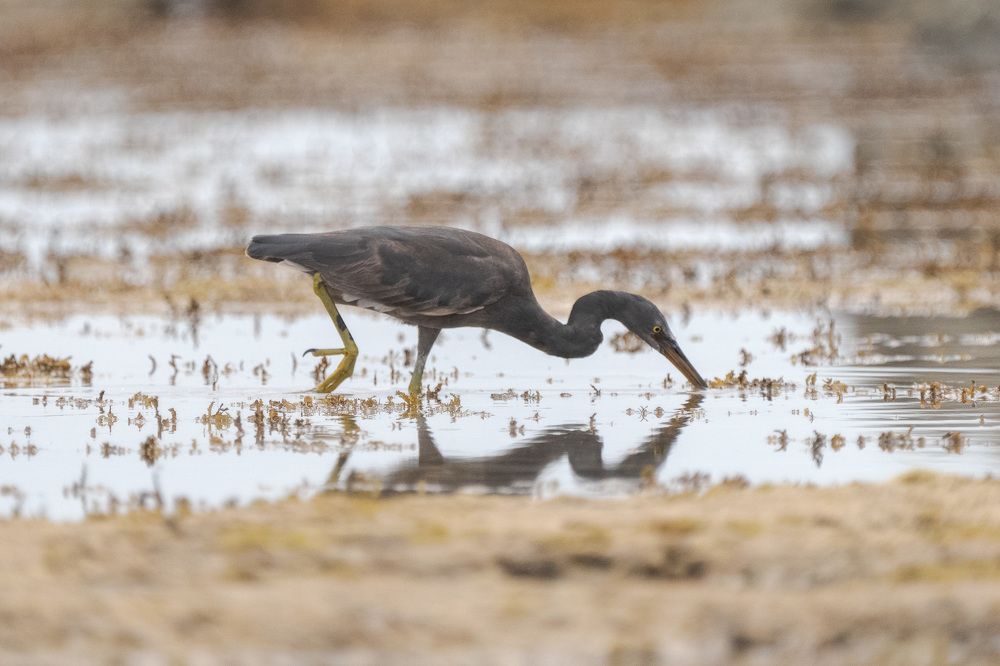 Photograph by Труханов Илья