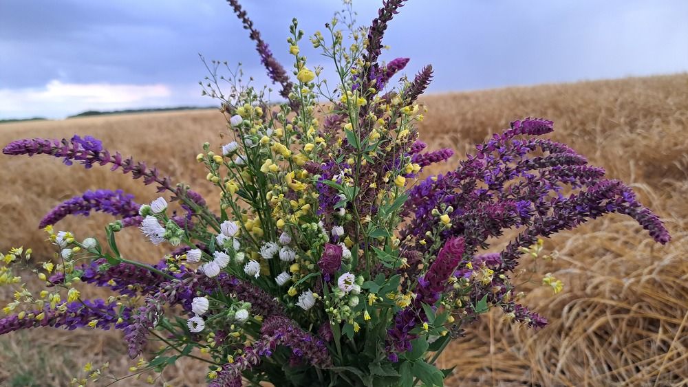 Photograph by Anna Volodina