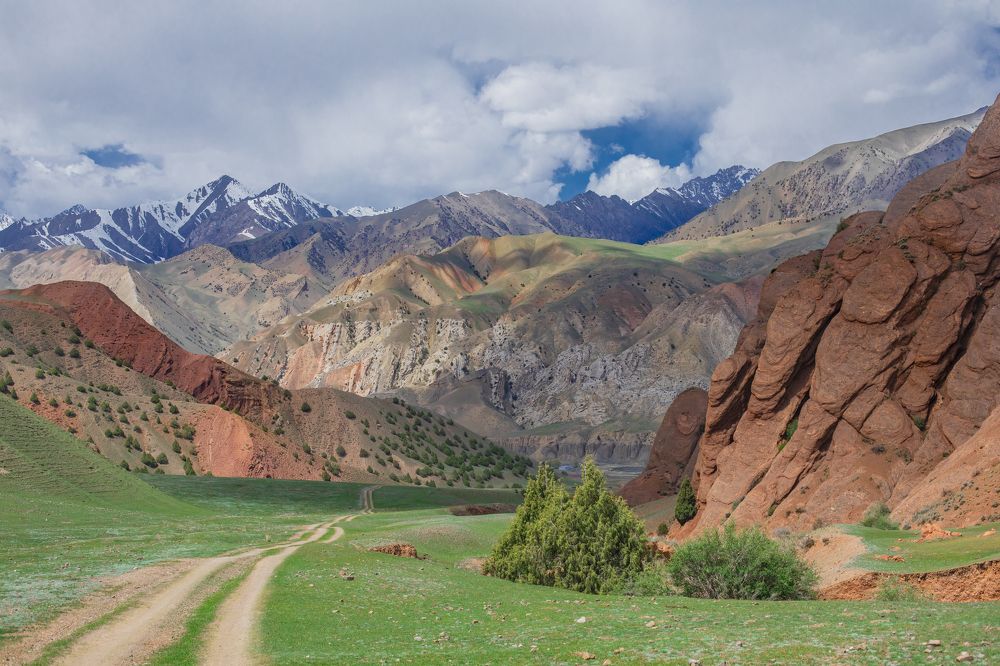 Фотография автора Татьяна Меньшикова