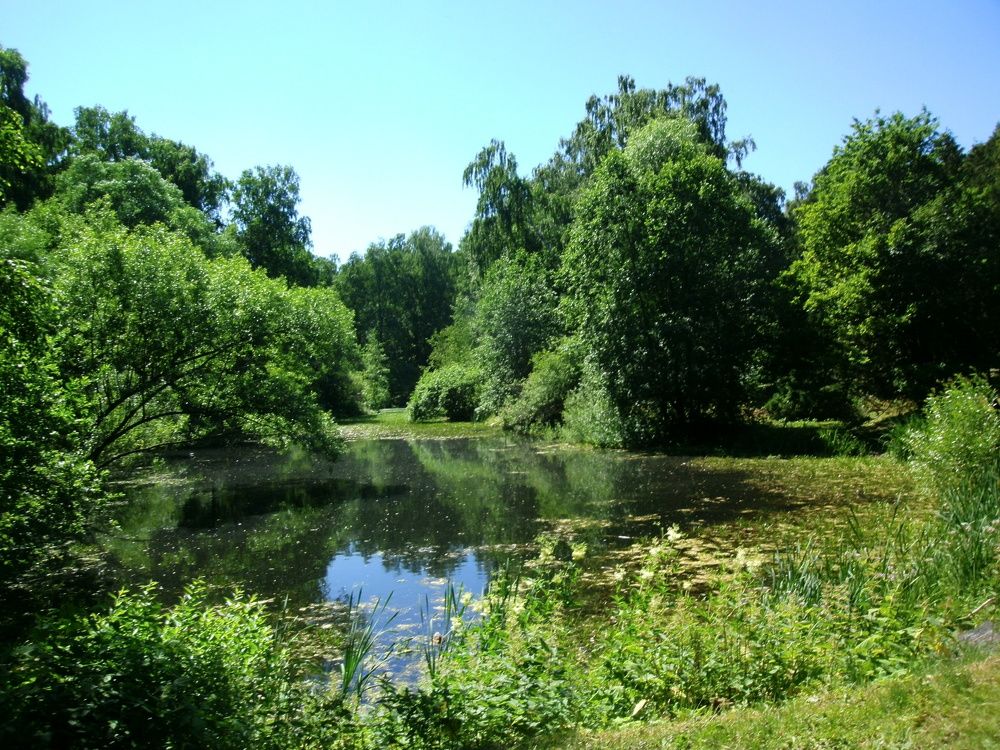Photograph by Ирина Смычникова