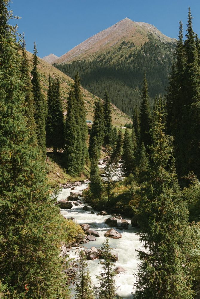 Photograph by Татьяна Карпенко