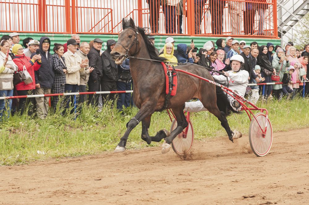 Фотография автора Рамиль Фаттахов