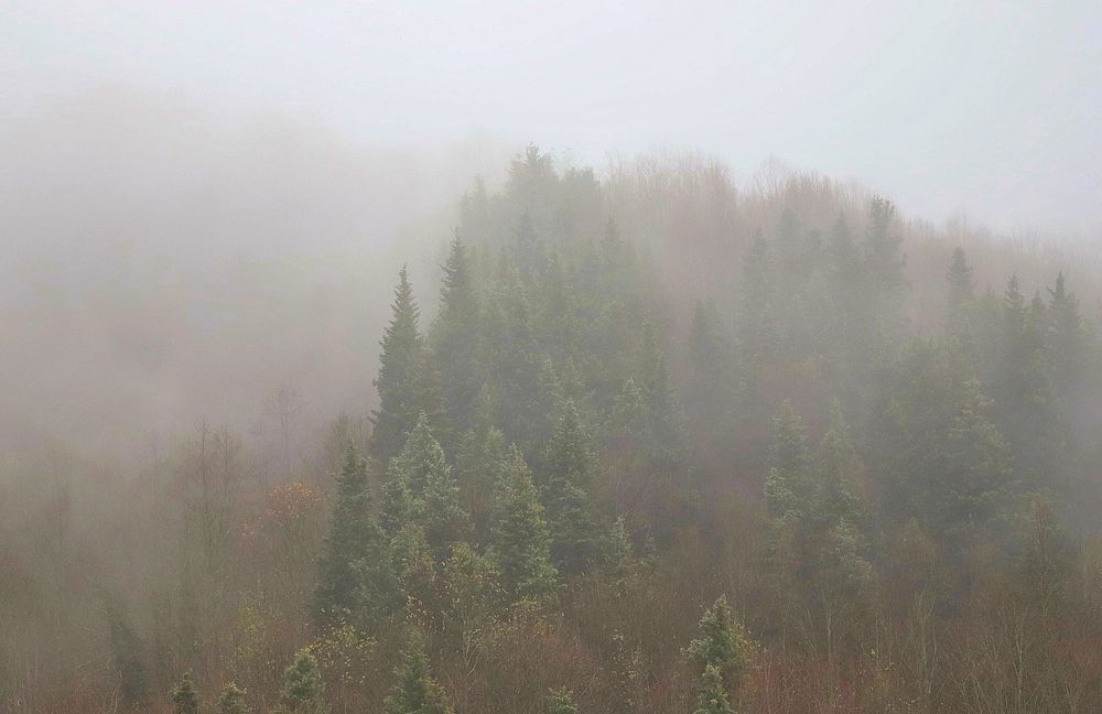 Фотография автора Hamidreza Saedi