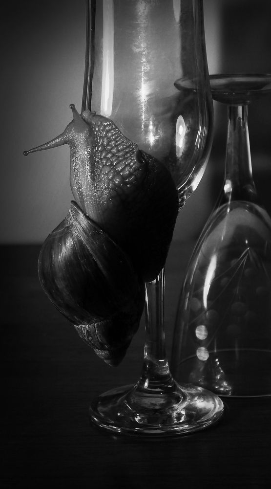 Photograph by Зоя Быкова