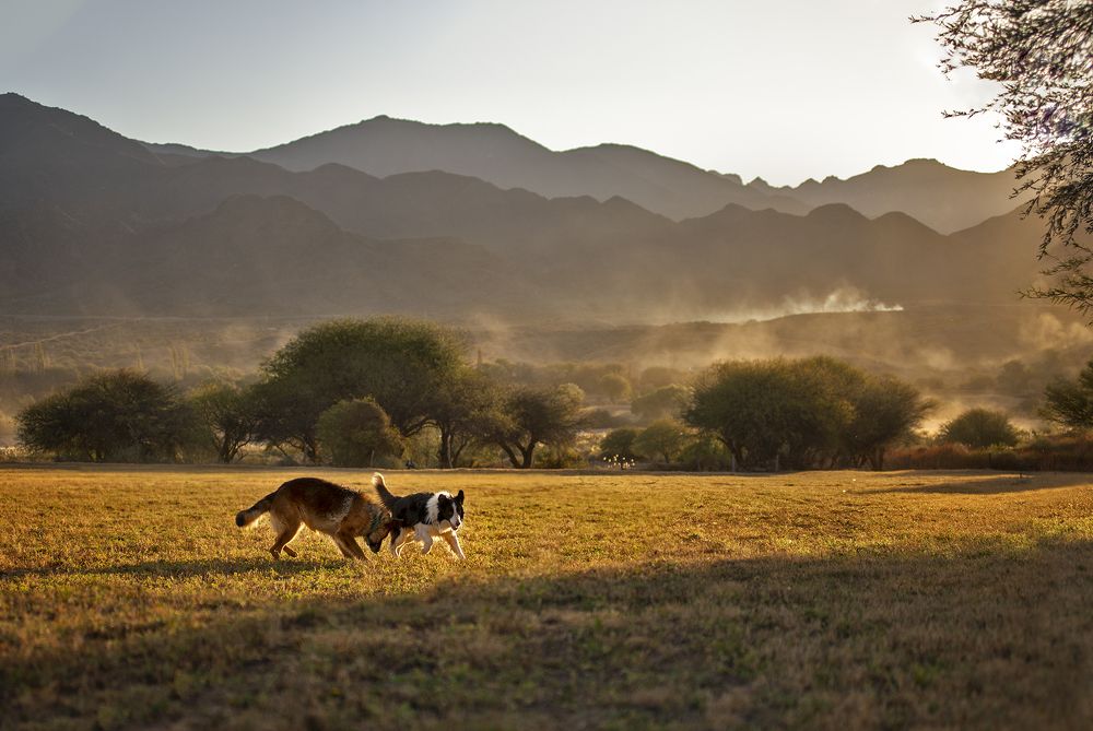 Фотография автора NORMA SÁENZ