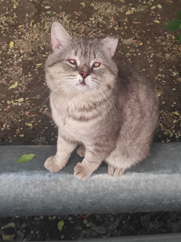 Photograph by Mark Kolbin