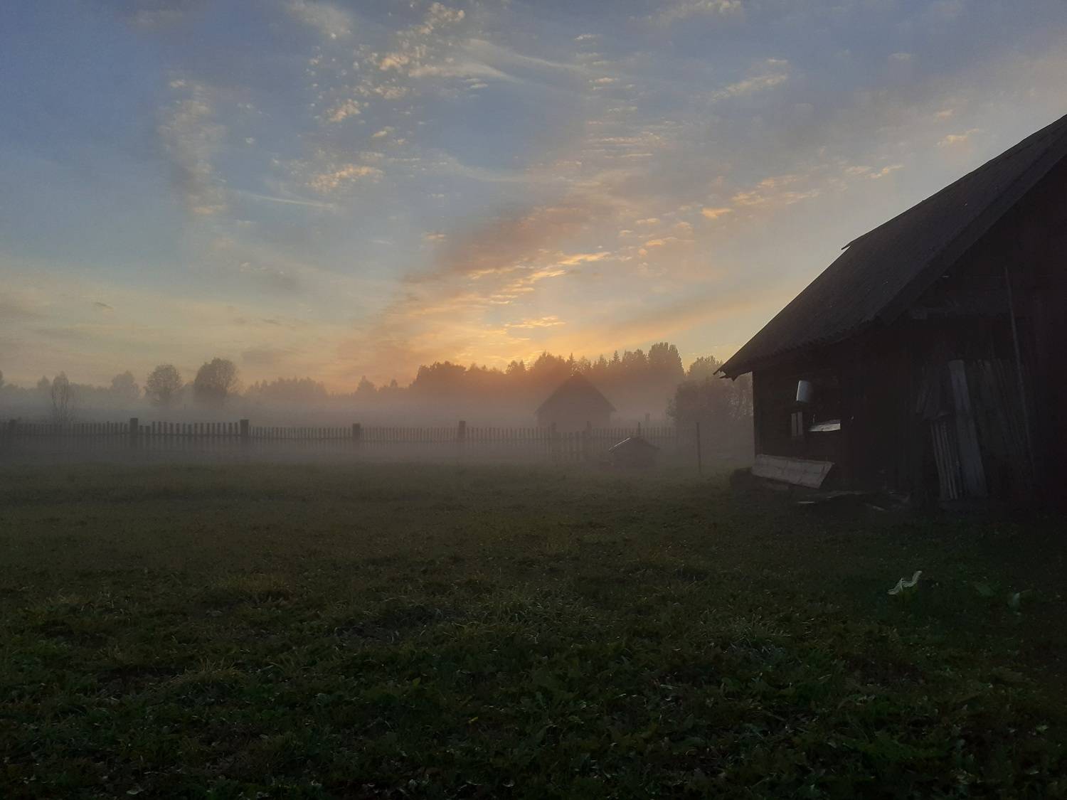Photo #10438410
