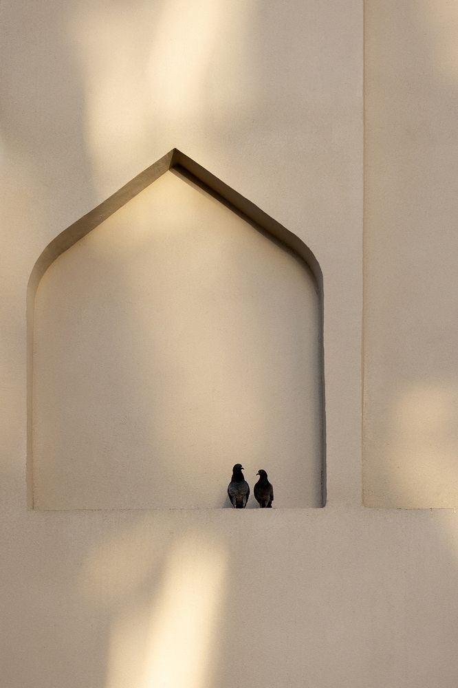 Harmony of light, harmony of heart