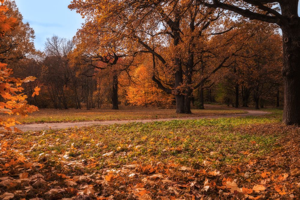 Фотография автора Wolf Adrian