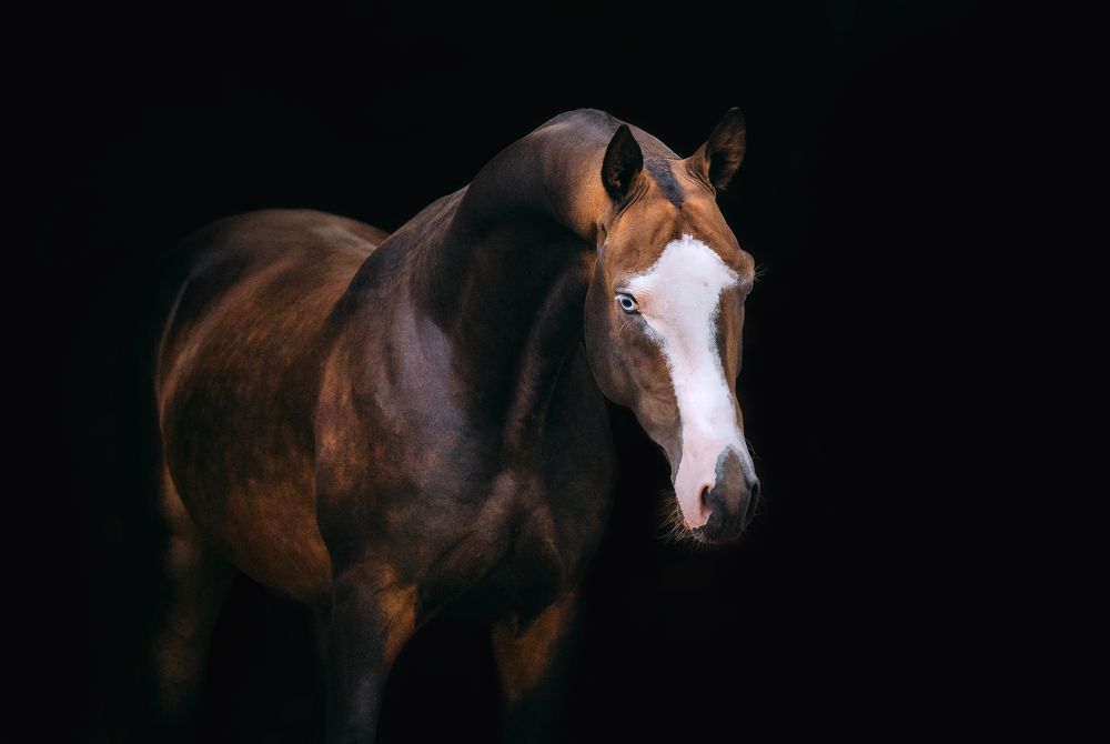 Photograph by Кристина Ксендзова