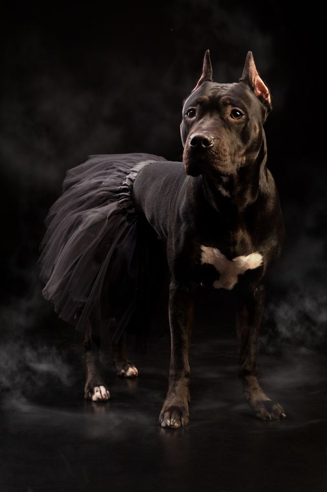 Photograph by Наталья Носова (Кучеренко)