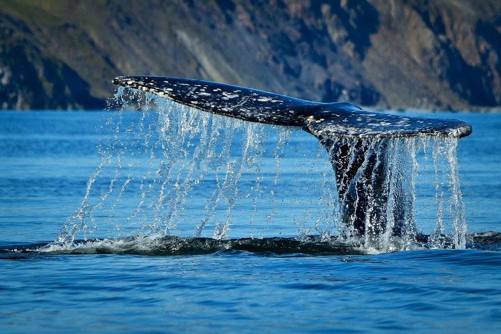 Чукотская легенда.
