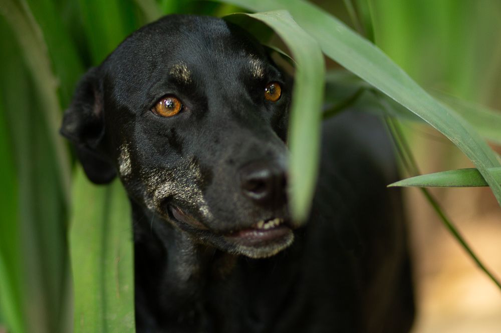 Photograph by Marcia Camargo