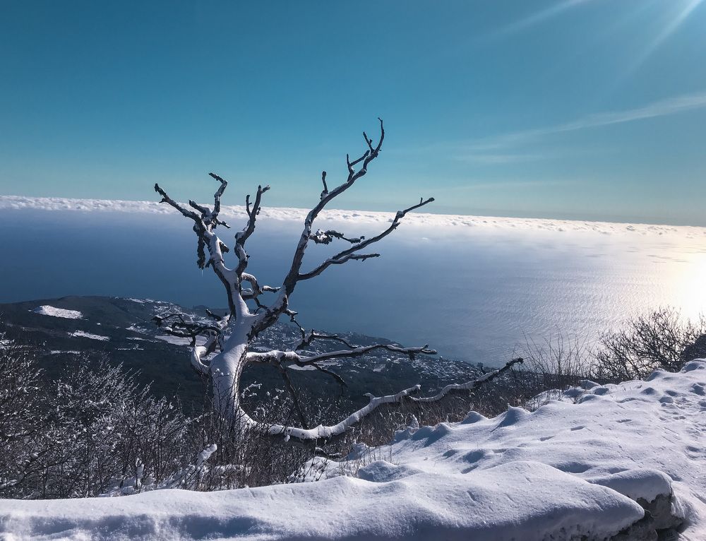 Фотография автора Вилена Дмитрюк