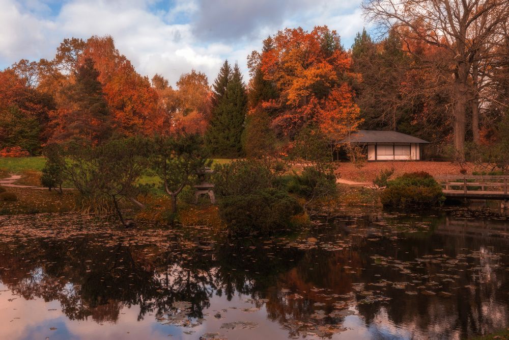 Фотография автора Wolf Adrian