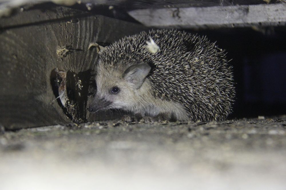 Photograph by Mark Kolbin