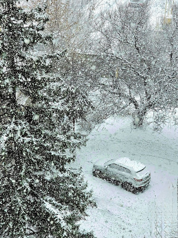 Photograph by Людмила Локтионова