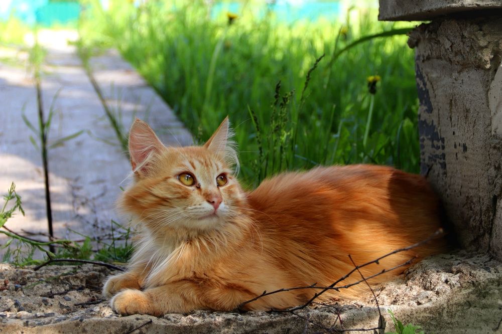 Photograph by Нина Чугунова