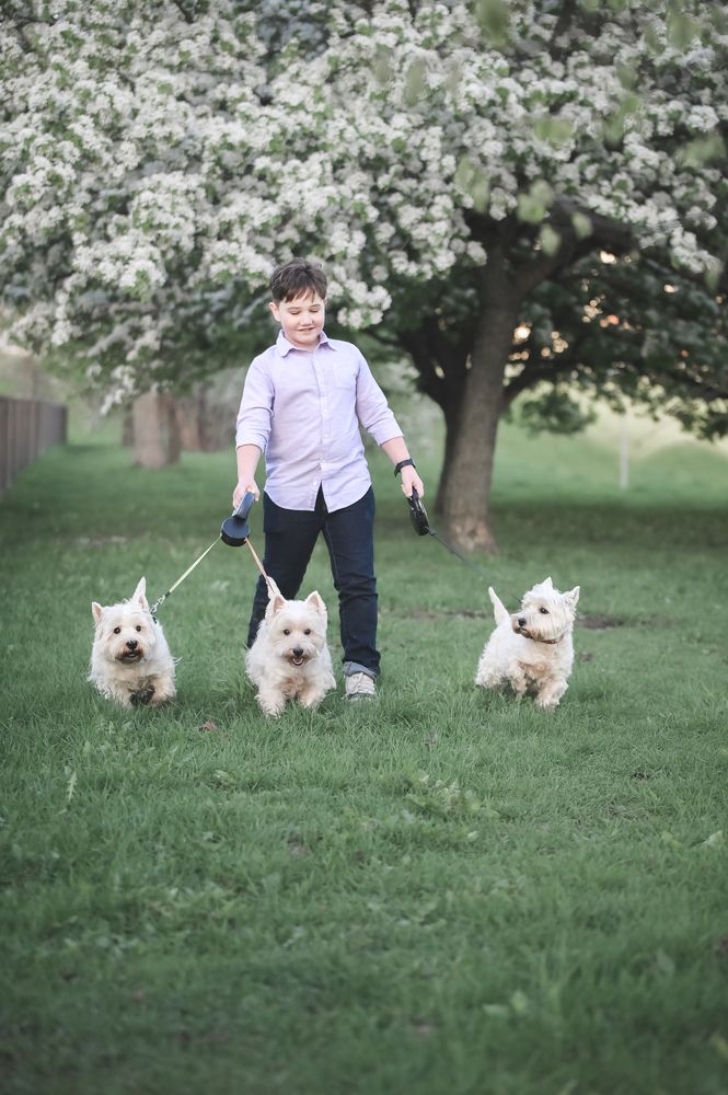 Photograph by Александра Судьбина