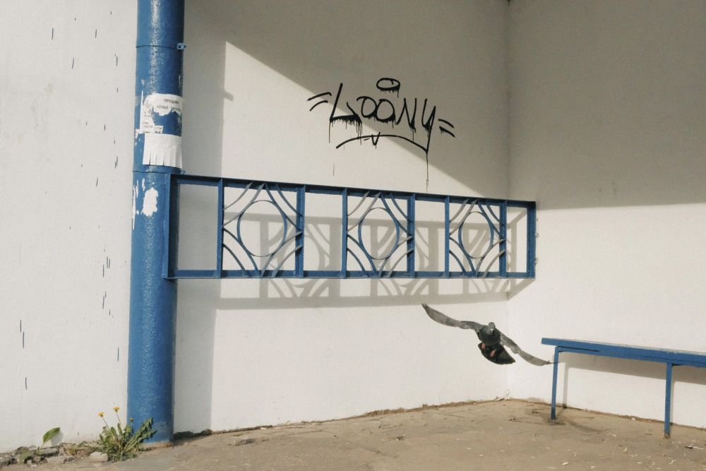 Photograph by Камила Башарова