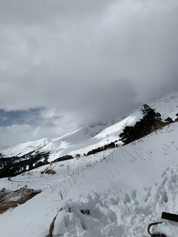 Photograph by Елена Максимовна