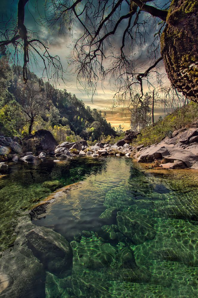 Фотография автора Rui martins