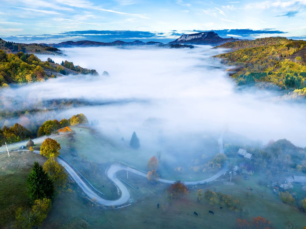 Фотография автора Marius Turc