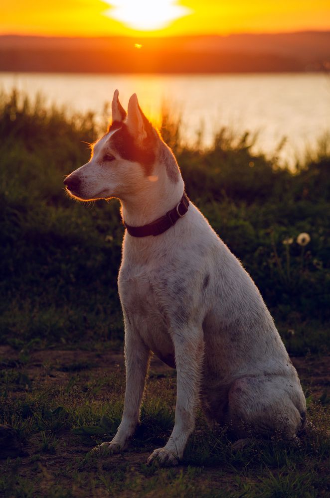 Photograph by Елена Коновалова