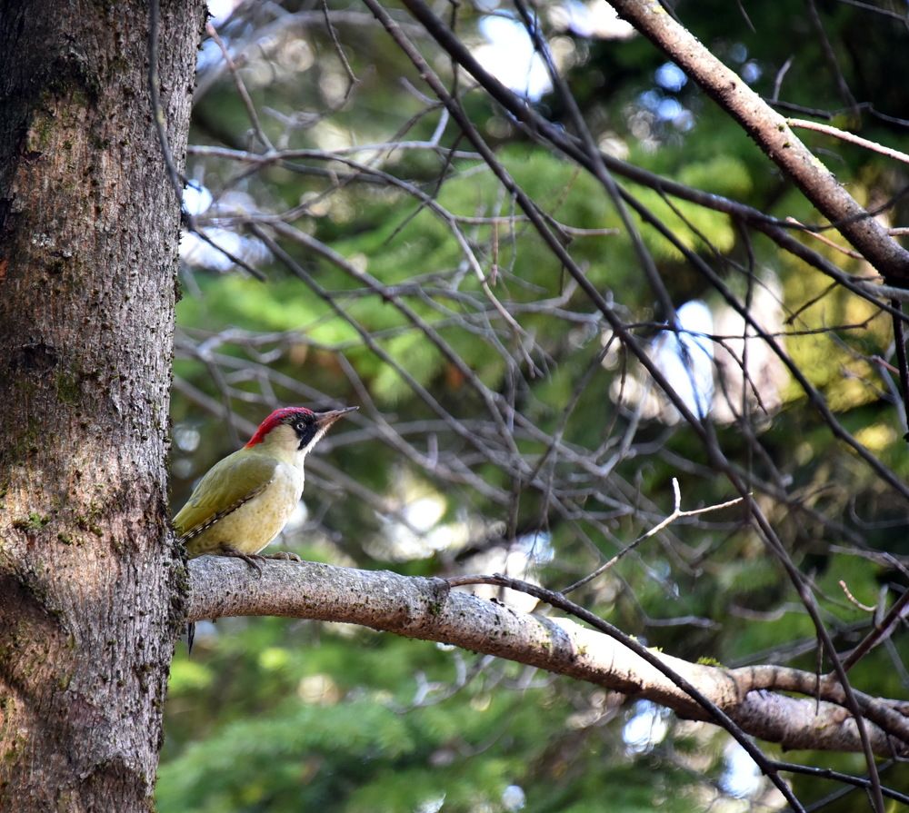 Photograph by Anna Zelinskaya