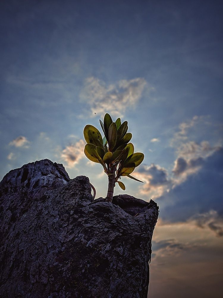 Photograph by Stiven