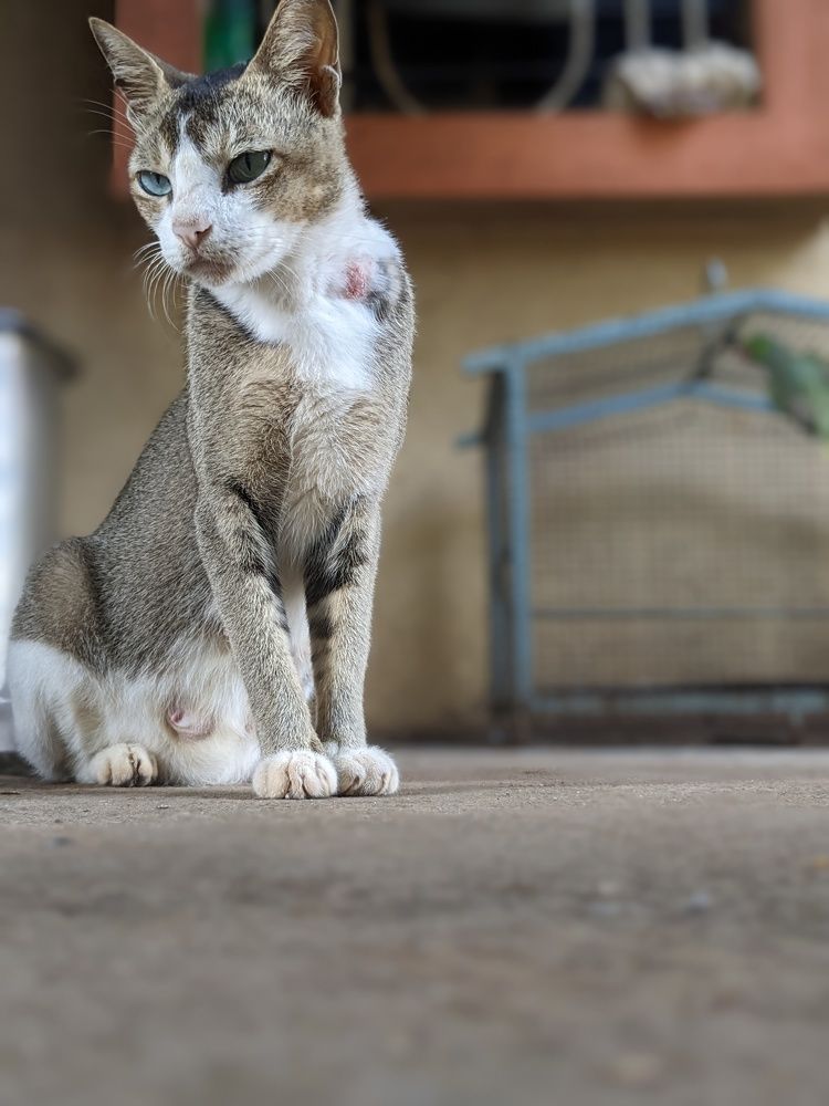 Photograph by Siddhesh Lakhan