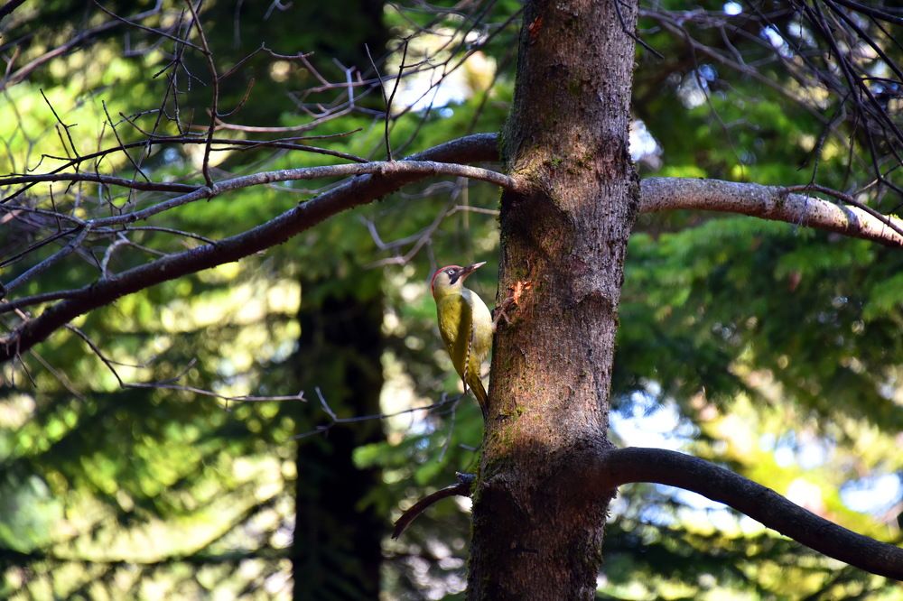 Photograph by Anna Zelinskaya