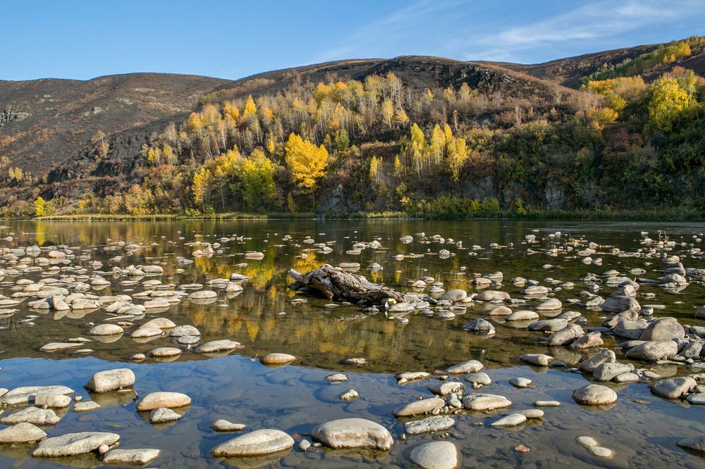 Фотография автора Юрий Литвинов
