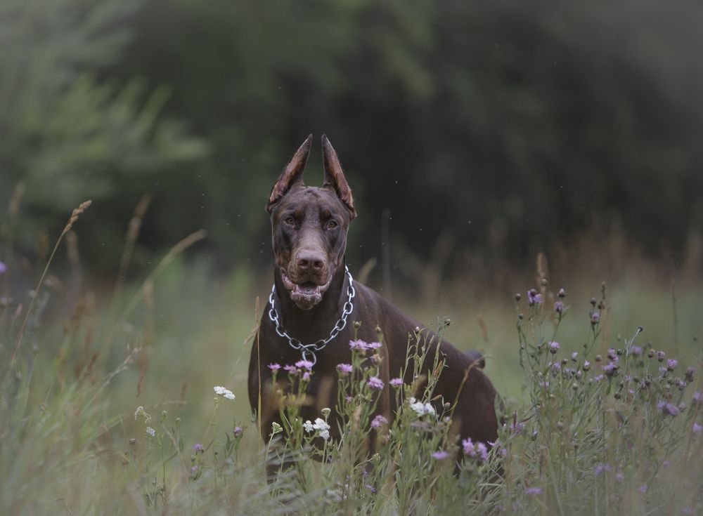 Photograph by Мария