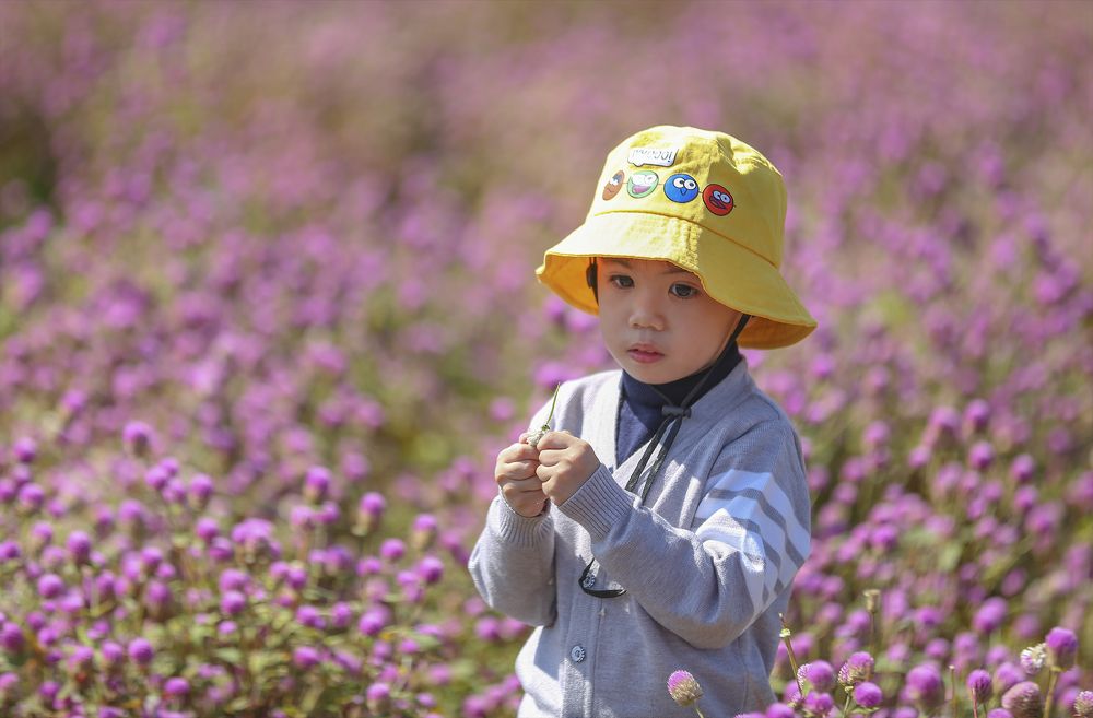 Фотография автора Quan Nguyen