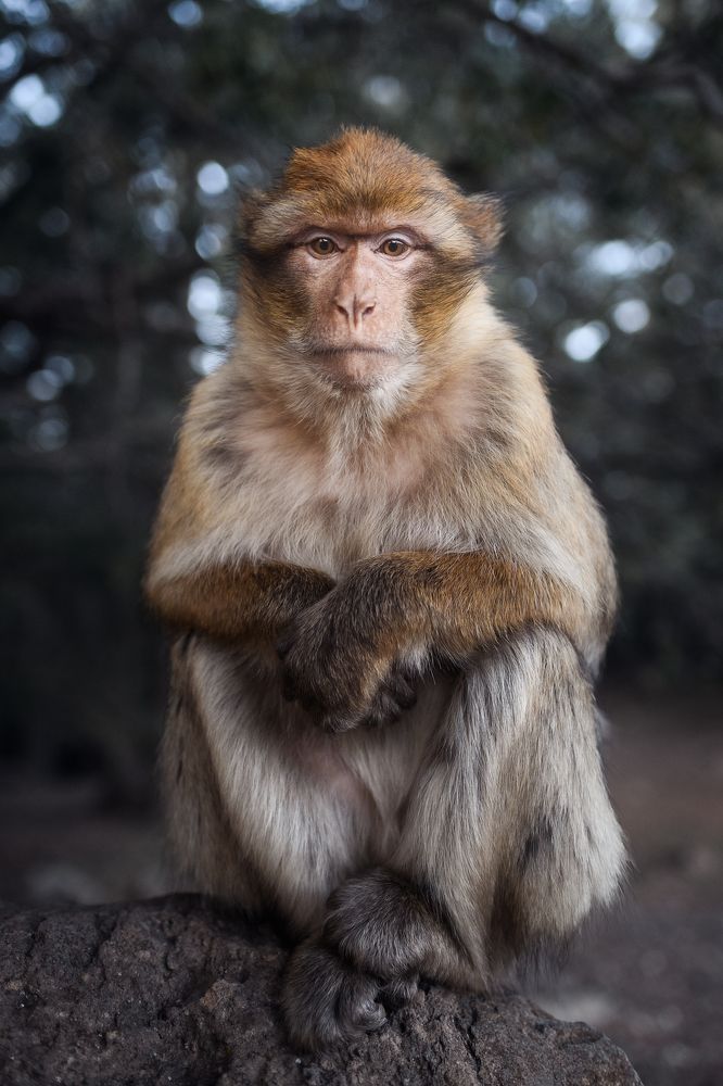 Photograph by Антон Ростовский